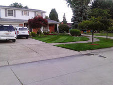 Ambient Lawn Care, LLC logo