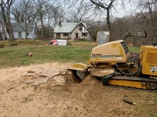 B and D Stump Grinding Services logo