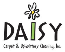 Avatar for Daisy Carpet & Upholstery Cleaning, Inc.