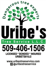 Avatar for Uribe's Tree Service