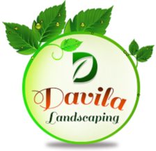 Davila's Landscaping logo
