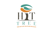 Avatar for HT Tree