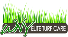 Avatar for Western New York Elite Turf Care