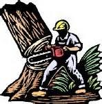 Avatar for northwest plowing