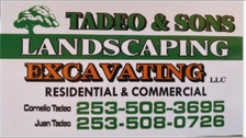 Logo for Tadeo and Sons Landscaping