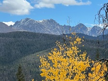 Avatar for Divine Landscape Concepts, LLC