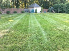 Allen Lawncare LLC logo