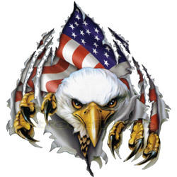 AAA1 All American Asphalt Repair, Paving & Concrete logo