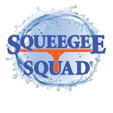 Avatar for Squeegee Squad Chicagoland