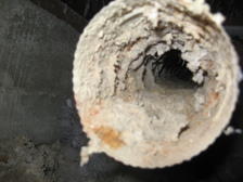 Avatar for Clean & Clear Dryer Vent Service