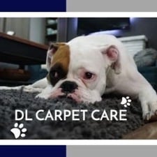 Avatar for DL Carpet Care