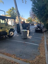 Logo for Monticello Tree Service
