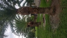 Logo for Natural Landscaping and Repairs