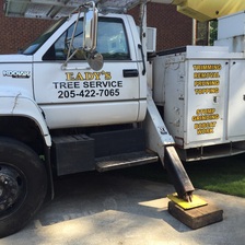 Logo for Eady's Tree Service Facebook