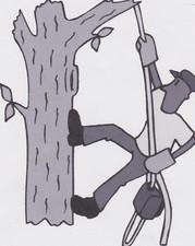 Avatar for Zamora Tree Service LLC - Home Facebook