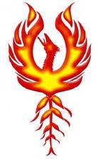 Phoenix Home Services, Inc. logo