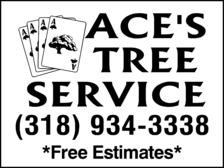 Avatar for Ace's Tree Service