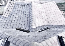 Dragon Roofing Specialist logo