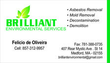 Brilliant Environmental Services logo