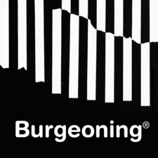 Burgeoning Architects, INC logo