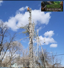 Impression Landscaping, LLC logo