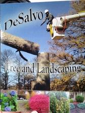 Logo for DeSalvo Tree And Landscaping