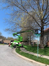 Logo for JD's Professional Tree Service