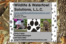 Logo for Wildlife & Waterfowl Solutions, LLC