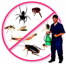 Gorak's Pest Control logo