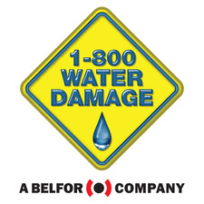 Logo for 1800 Water Damage