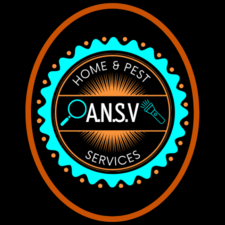 Logo for A.N.S.V. Home & Pest Services, LLC