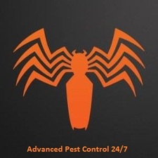 Avatar for Advanced Pest Control 24/7