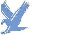 Piedmont Electrical Services, Inc. logo