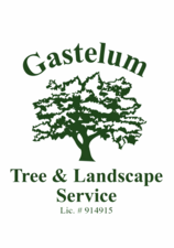 Avatar for Gastelum Tree & Landscaping Services