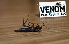 Logo for Venom Pest Control, LLC