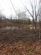 Avatar for Loco Forest Logging & Clean up - Kingsley, Michigan Facebook