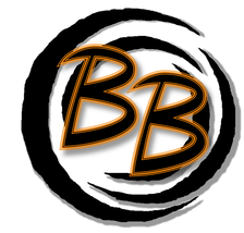 Bug Busters Pest Control Services logo