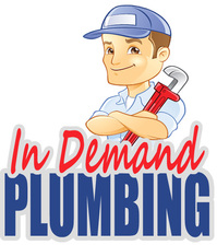 Avatar for In Demand Plumbing