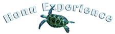 Avatar for Honu Experience