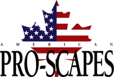 Avatar for American Pro-Scapes Inc