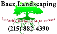 Avatar for Baez Landscaping - Home Facebook