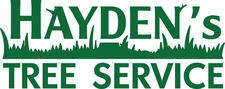 Avatar for Hayden Tree Service