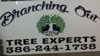 Branching Out Tree Experts logo