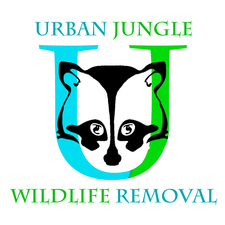 Urban Jungle Wildlife Removal, LLC logo