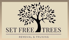 Avatar for JNR Home Services