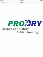 Pro Dry Carpet Cleaning logo