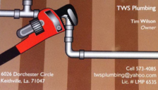 Avatar for TWS Plumbing