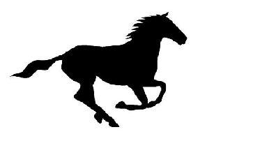 Stampede Plumbing, LLC logo
