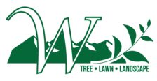 Avatar for WRIGHT TREE LAWN AND LANDSCAPE CARE