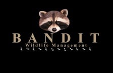 Avatar for Bandit Wildlife Management, LLC